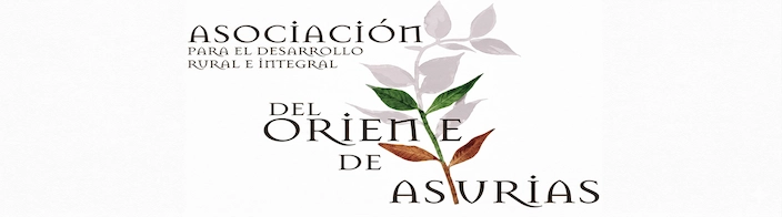 Logo leader oriente asturias