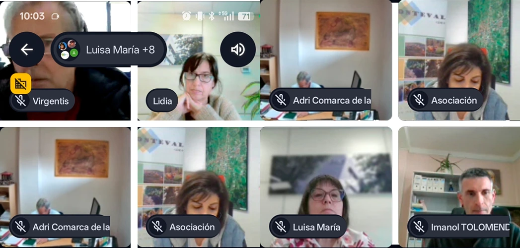 Integrantes de la segunda sesión online.
